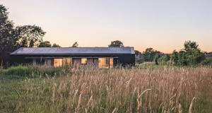 From small screen to deep green gallery