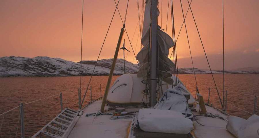 International: Issue 25