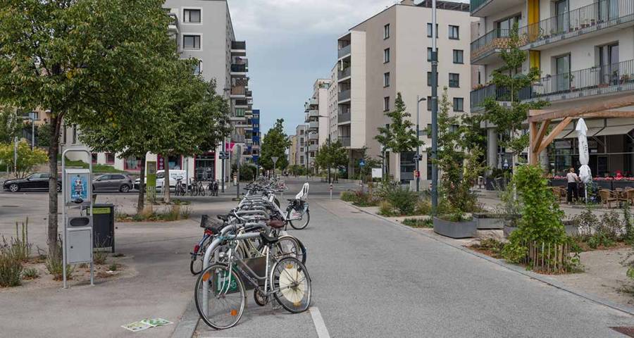 Big picture - Points of access to resilient living